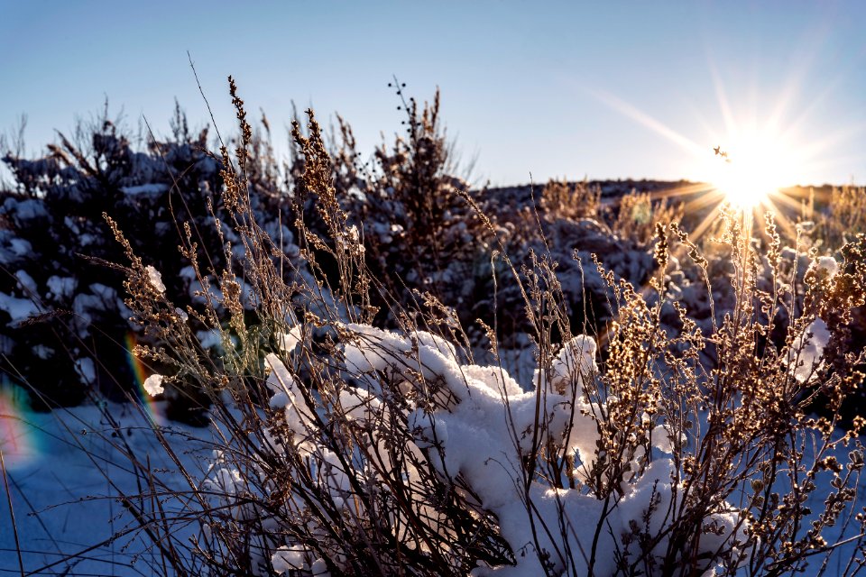 Sun and Sage