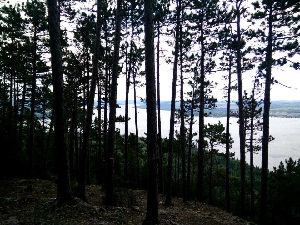 286 - Parc national du Lac-Temiscouata : Montagne du Fourneau
