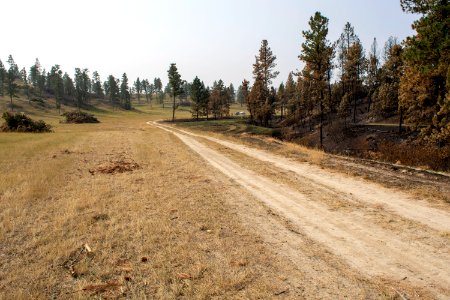 Bobcat Fire 2020