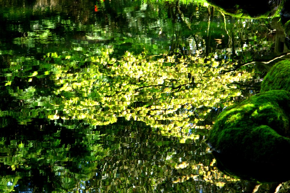 green reflections