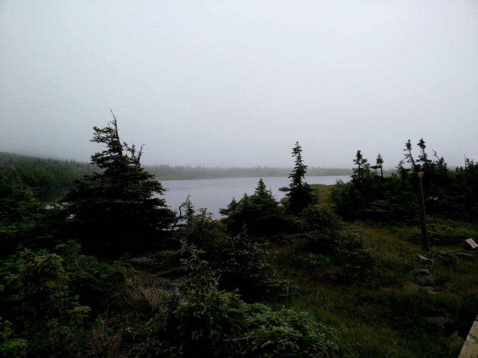 061 - Parc national de la Gaspésie : Mont Albert