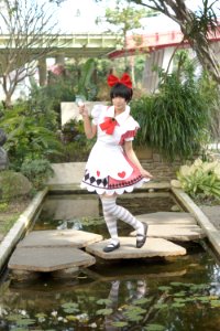 DSC04033