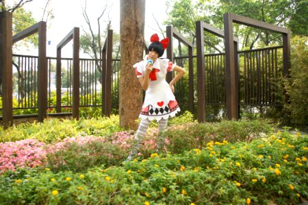 DSC08239