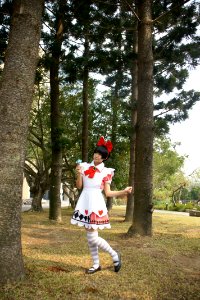 DSC08294