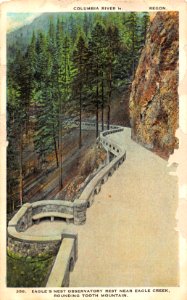 356. EAGLES NEST OBSERVATORY REST NEAR EAGLE CREEK ROUNDING TOOTH MOUNTAIN OREGON