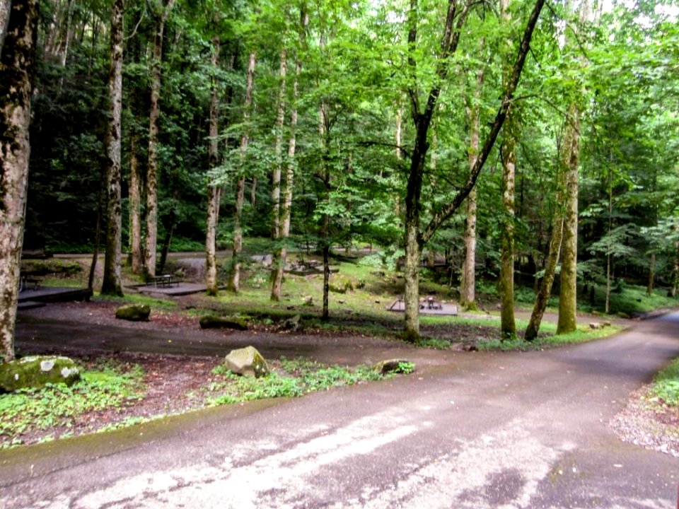 Chimneys PicnicArea Site01.jpg
