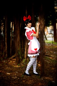 DSC04108