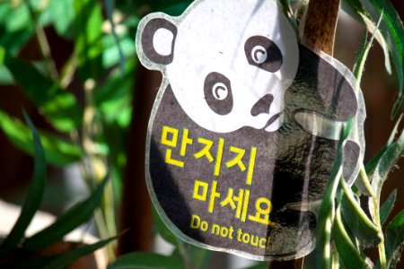 만지지마세요 팬더 경고 문구 Do not touch Panda