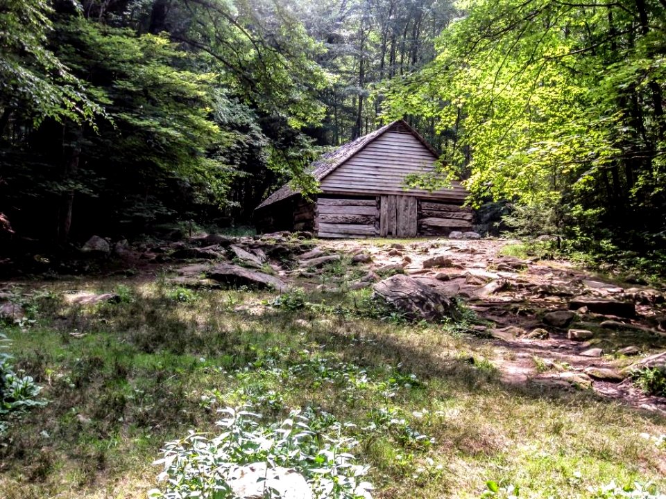 NoahBudOgleCabin Site02.jpg