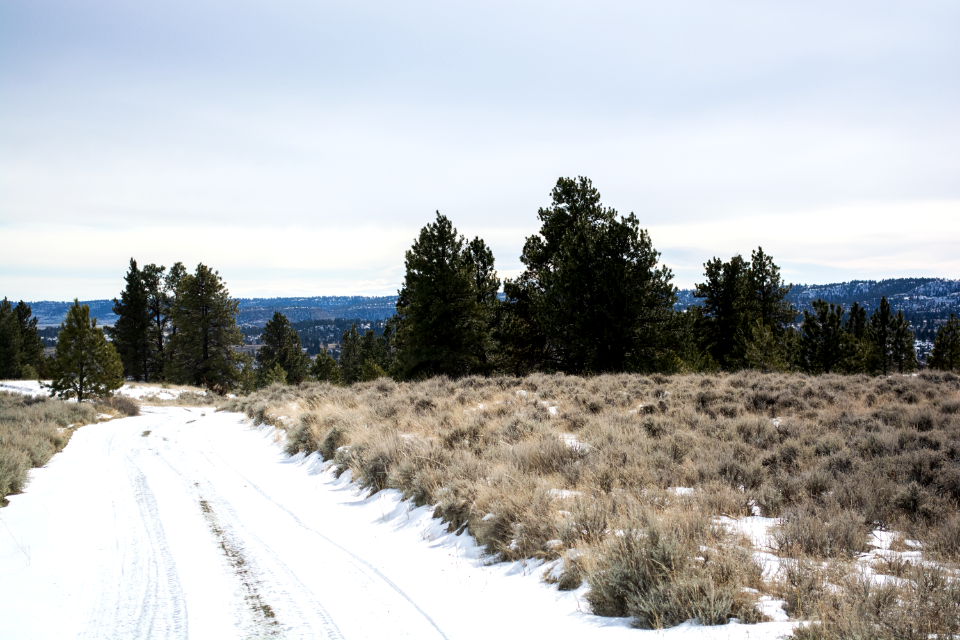 Acton Recreation Area