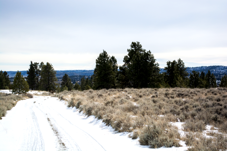 Acton Recreation Area