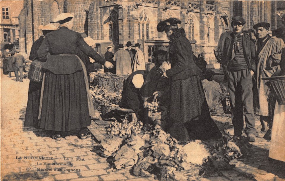 37 LA NORMANDIE - MARCHE AUX OIGNONS