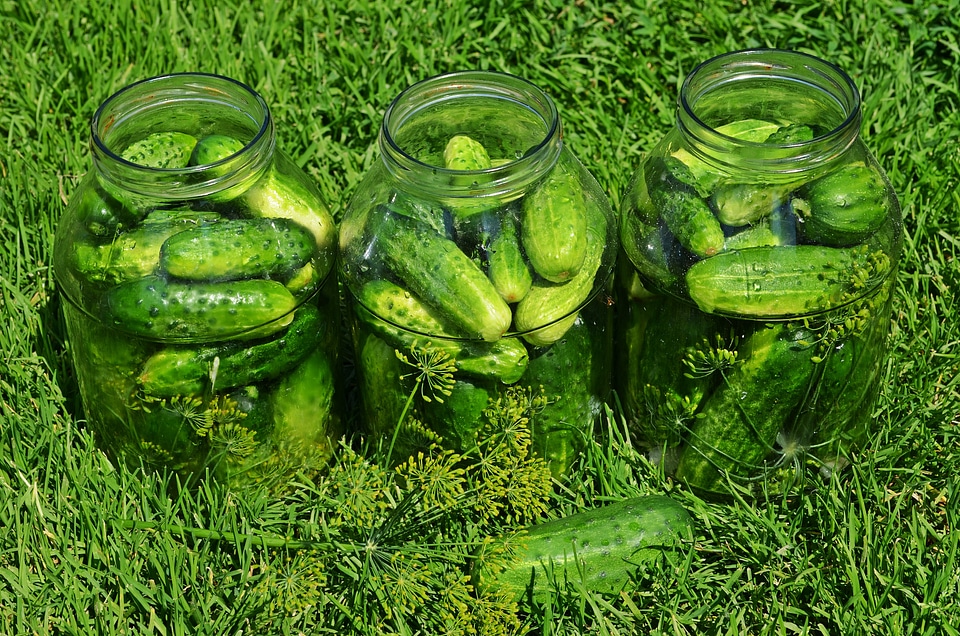 Kitchen ensiling cucumbers pig iron