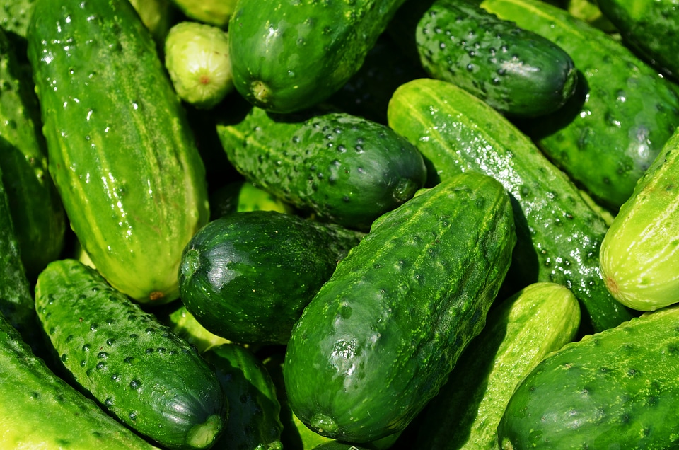 Healthy fresh eating
