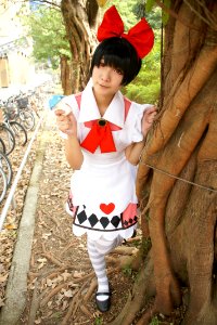 DSC08306