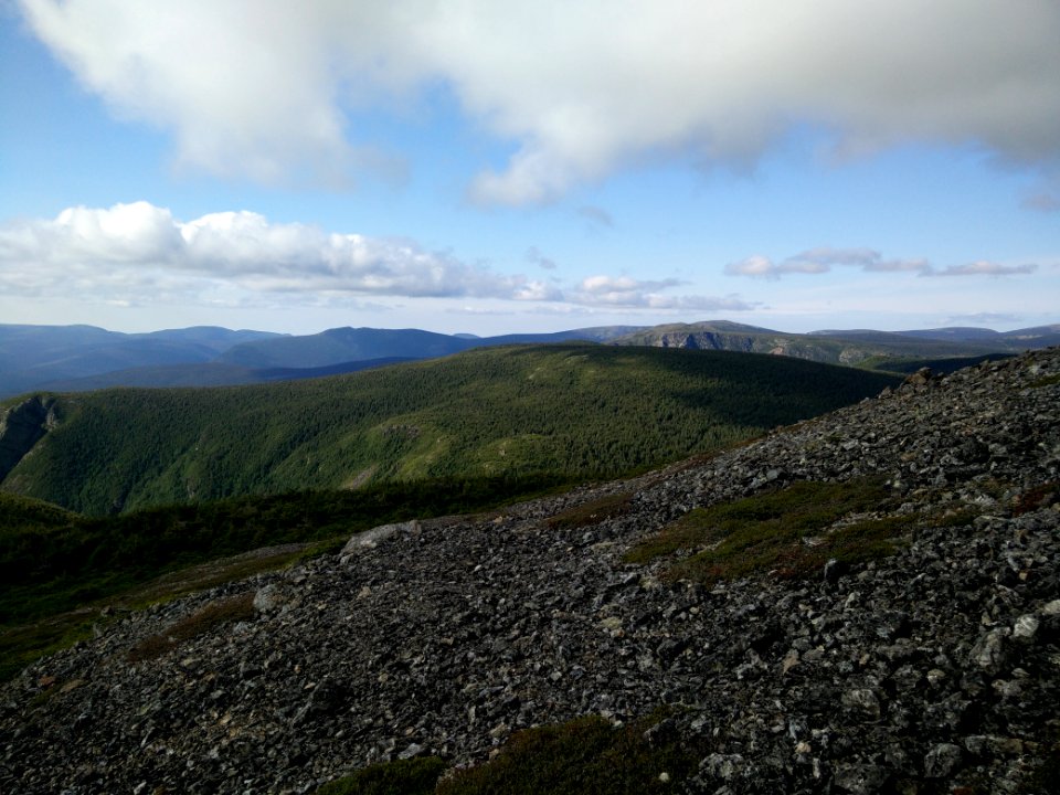 096 - Parc national de la Gaspésie : Mont Richardson