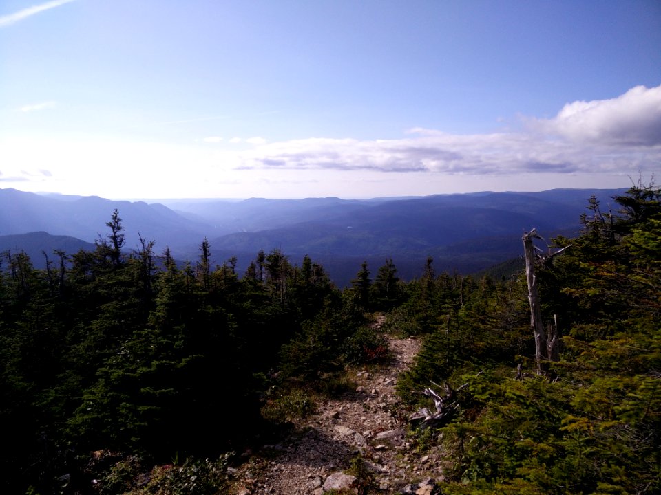 090 - Parc national de la Gaspésie : Mont Richardson