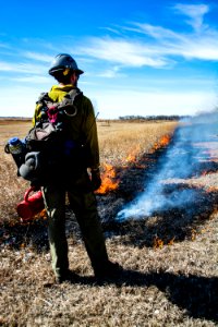 Pompeys Pillar Rx Burn March 2020