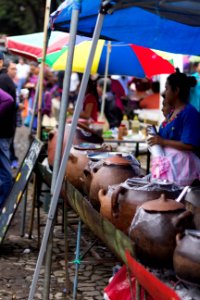VACAS AGOSTO 2016 61