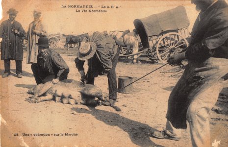 LA VIE NORMANDE - LA NORMANDIE