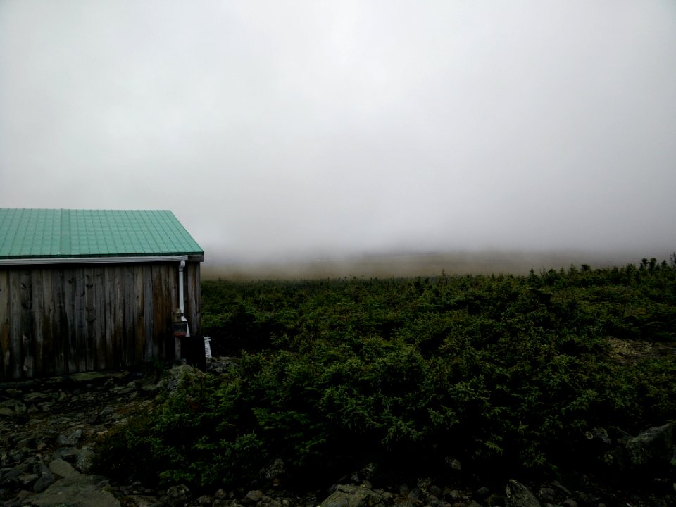 052 - Parc national de la Gaspésie : Mont Albert