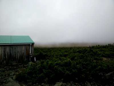 052 - Parc national de la Gaspésie : Mont Albert photo