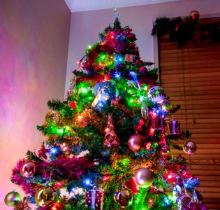 Christmas Tree