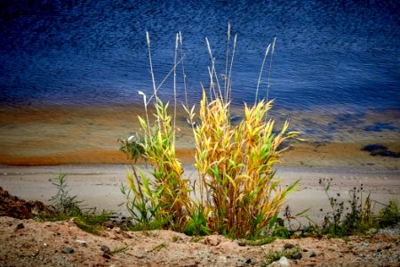 On the Volga River photo