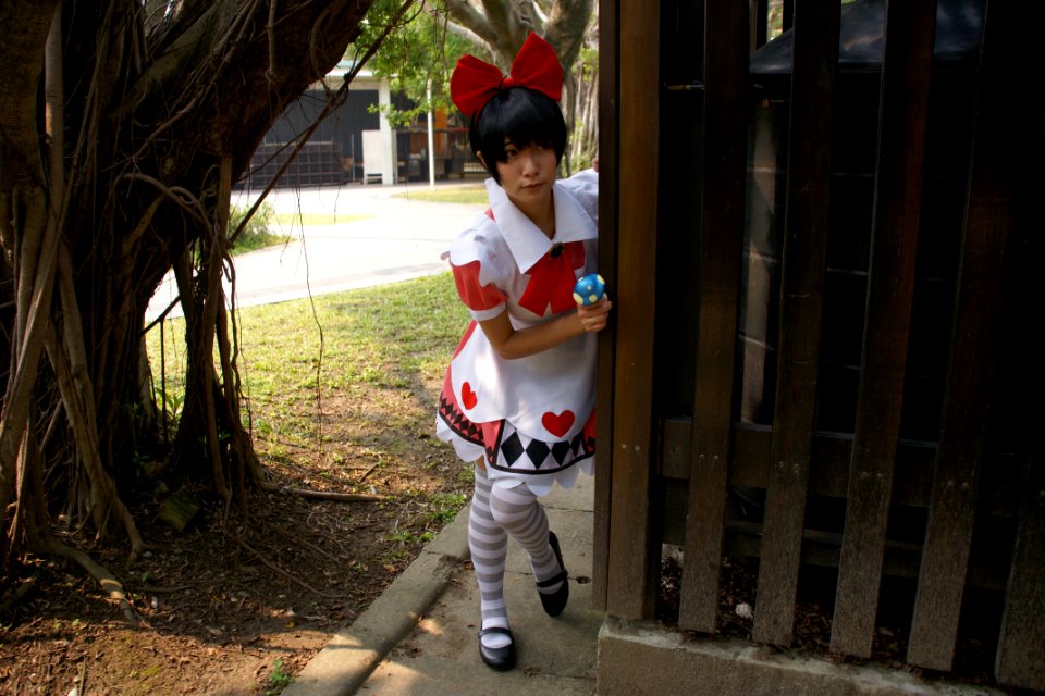 DSC08276