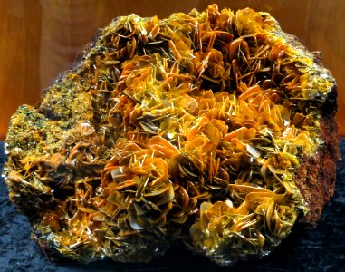 yellow mineral "roses" photo