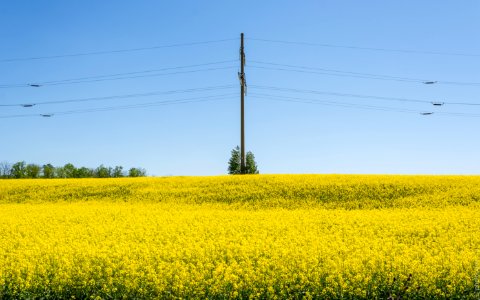 Бельцы, загородом, апрель 2018 / In afara orasului Balti, aprilie 2018 / In the countryside, Balti, Moldova, April 2018