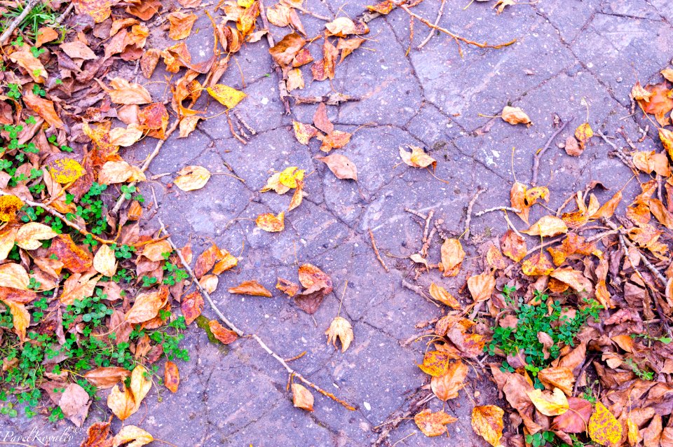 The old road