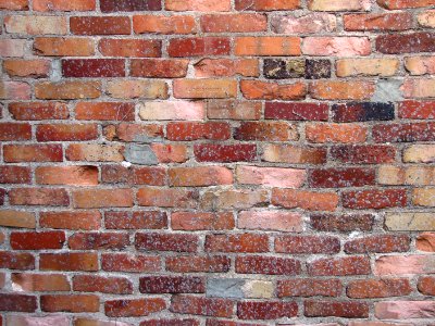 brick wall 4 photo
