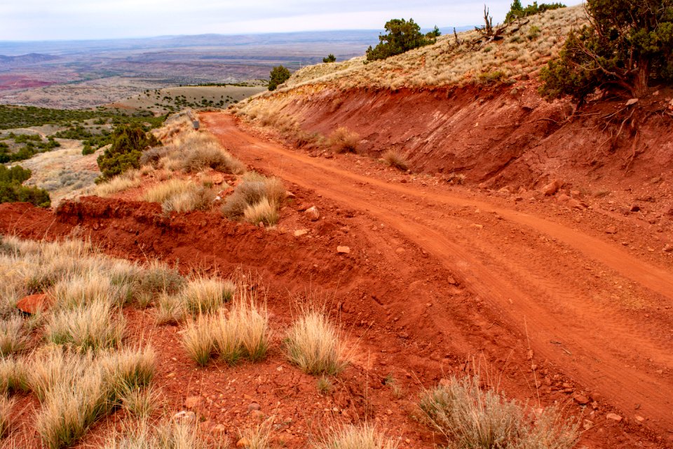 20200504 Pryor Mtns 13 1