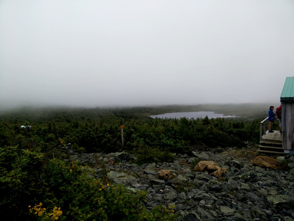051 - Parc national de la Gaspésie : Mont Albert