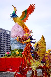 IMGP5674