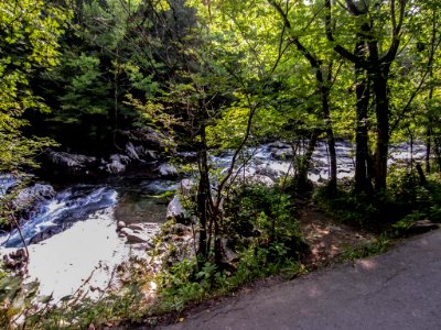 Greenbrier 1 Site01.jpg