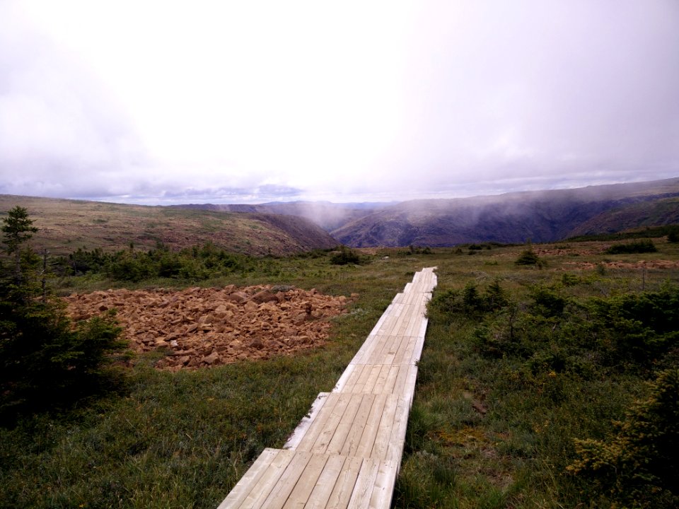 076 - Parc national de la Gaspésie : Mont Albert