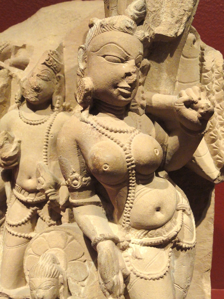 Mace rajasthan india