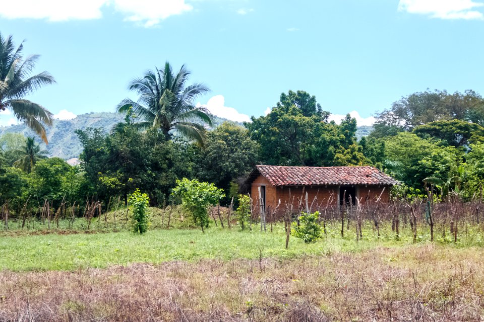 El Salvador familias productoras