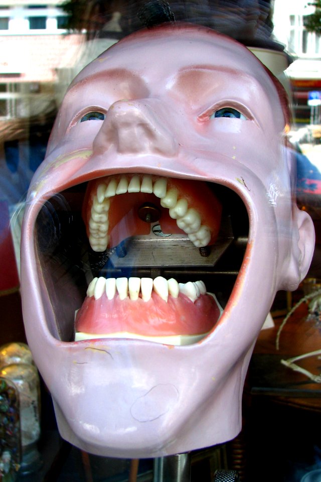 dental model photo