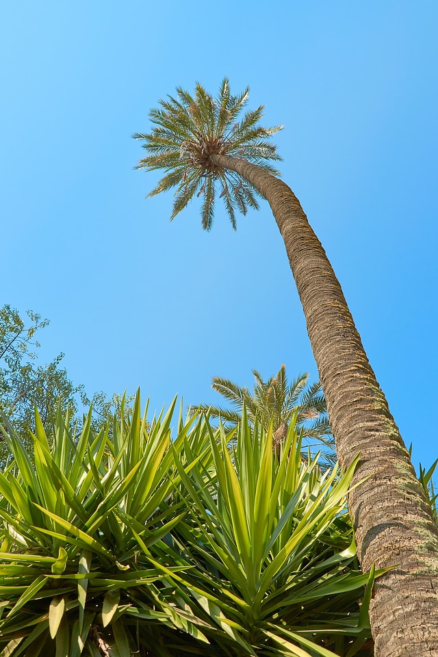 Caribbean sky travel