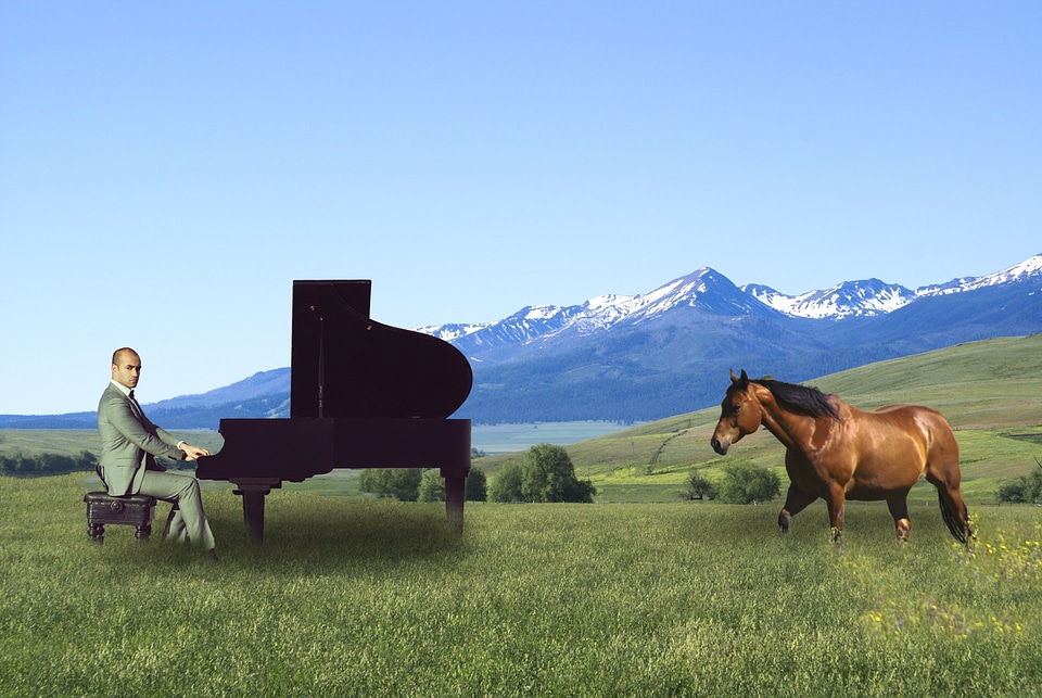 Zumwalt pianist outdoors