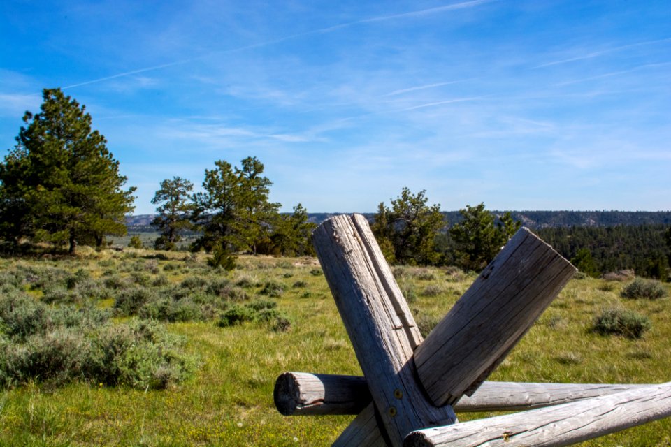Acton Recreation Area