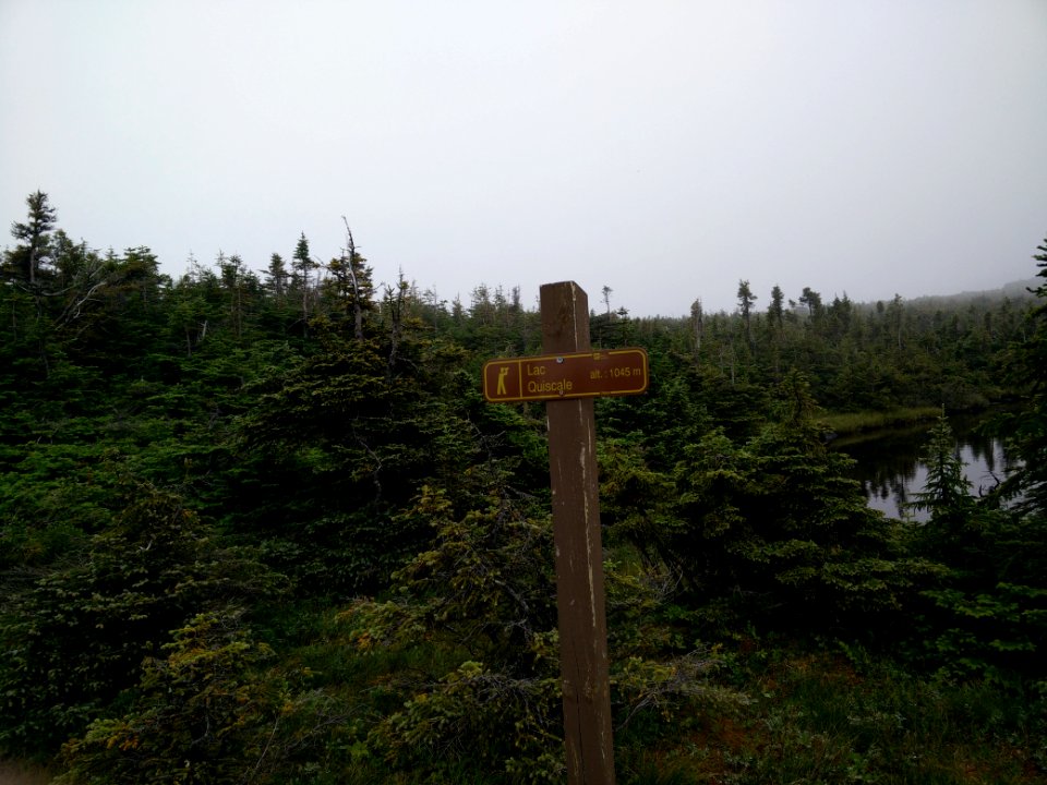 062 - Parc national de la Gaspésie : Mont Albert
