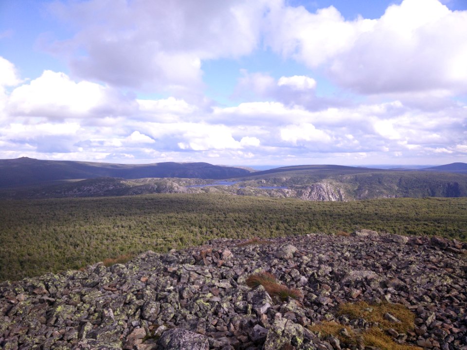035 - Parc national de la Gaspésie : Mont Xalibu