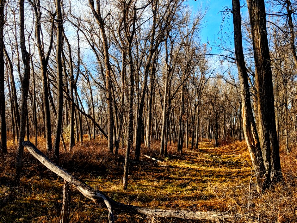 Sundance Lodge November 2019