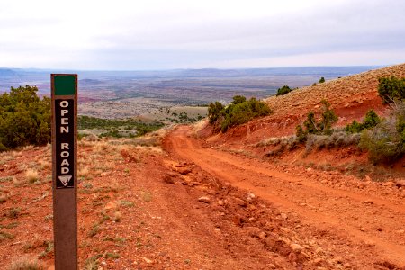 20200504 Pryor Mtns 04 1