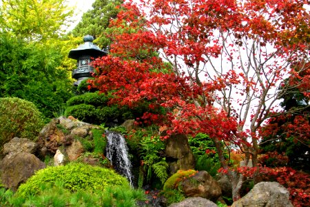 Japanese garden photo