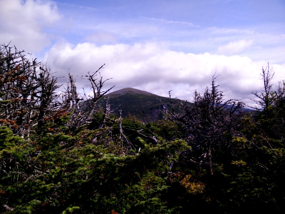 082 - Parc national de la Gaspésie : Mont Joseph-Fortin